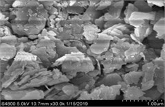 1 µm solidified soil SEM picture
