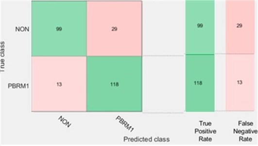 Number of observations for PBMR1 mutation status using KNN with random subspace