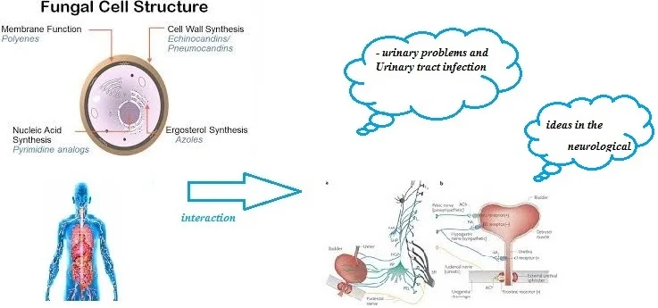 Mini review: interactions between antifungal azoles, neurological bladder and urinary problems