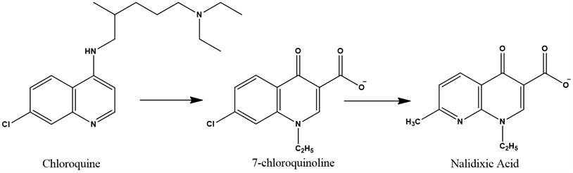 From chloroquine to nalidixic acid
