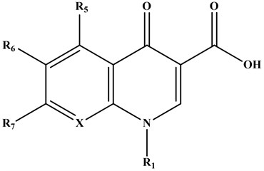 Common structure of quinolones