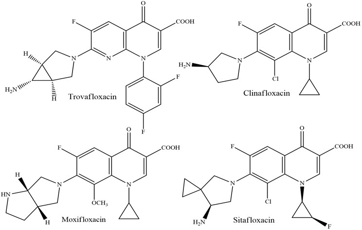 Quinolones of fourth generation