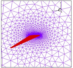 Calculation domain and mesh of flow field
