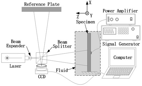 Schematic of out of plane movement detection system