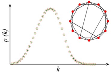 Network model structure