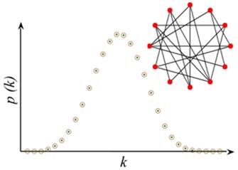 Network model structure