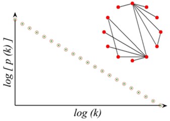 Network model structure