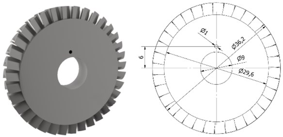 Disc whose outer diameter is 36.2 mm