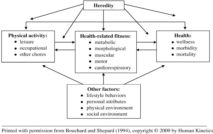 Batteries assessing functional fitness of older people: a brief review -  Extrica