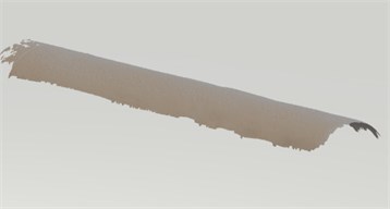 Example of a point cloud of the surface of the additional latex tube