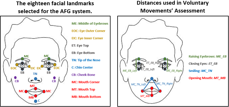 A pilot study on automated quantitative grading of facial functions