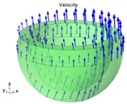 Oil film velocity vector distribution