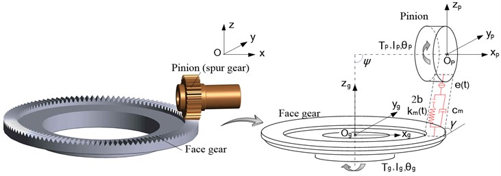 The dynamic model of the face gear pair