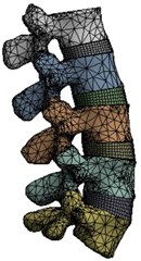 a) L3-L4 vertebrae with IVD b) Intervertebral disc c) Meshed model of lumbar region