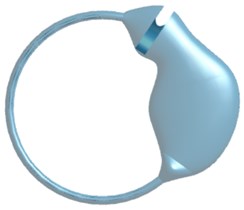 Three-dimensional model: a) semicircular canal; b) semicircular canal with cupula