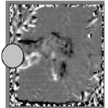 Instantaneous wake vorticity of a) a rigid and b) porous coated cylinder [1]