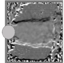 Instantaneous wake vorticity of a) a rigid and b) porous coated cylinder [1]