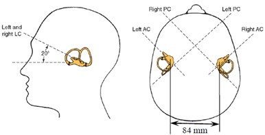 Spatial location and orientation of H-SCC