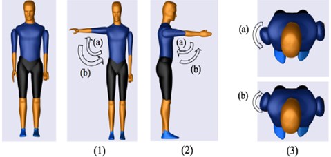 Shoulder movements: Initial position (Extreme left), (1a) Shoulder abduction,  (1b) Shoulder adduction, (2a) Shoulder extension (2b), Shoulder flexion,  (3a) Shoulder internal rotation, and (3b) Shoulder external rotation