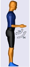 Initial position (Extreme left) (a) Elbow flexion (b) Elbow extension (c) Forearm pronation  (d) Forearm supination