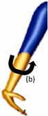 Initial position (Extreme left) (a) Wrist extension (b) Wrist flexion (c) Ulnar deviation  (d) Radial deviation