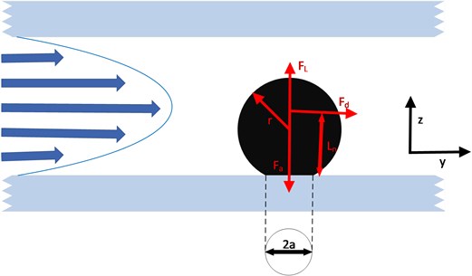 Schematic diagram of the force of particles in the pores