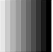 Four gray images to be examined with present SNN and CNN: a) darker right,  b) darker left, c) half-gray; d) two gray tones, i.e. 20 % and 80 % black color
