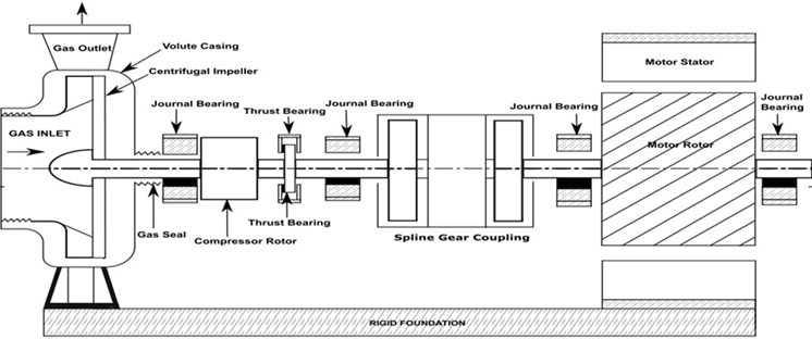 Schematic diagram of turbo machinery coupled with cage induction motor