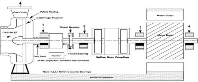 A schematic of turbomachinery and coupled squirrel cage induction motor