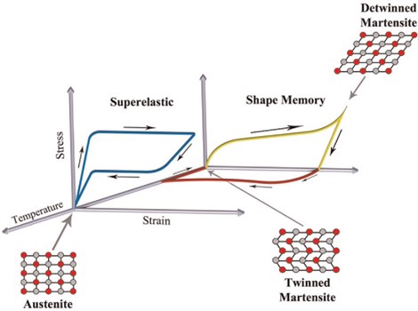 Thermomechanical structures of SMAs [6]