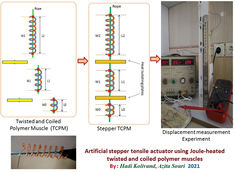 Artificial stepper tensile actuator using Joule-heated twisted and coiled polymer muscles
