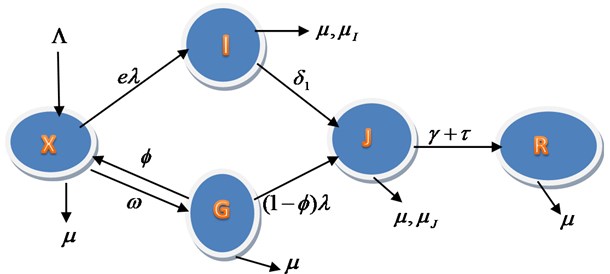 Schematic representation for the model equations