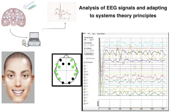 Analysis of electroencephalography (EEG) signals and adapting to systems theory principles