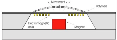 Cross-sectional view of polymer based EM actuator:  a) with moving permanent magnet, b) with moving coil. Adapted from [79]