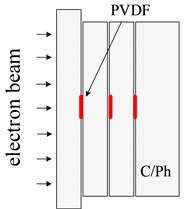 A schematic diagram of PVDF instrument