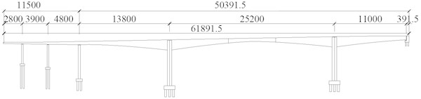 Layout of the bridge elevation (unit: cm)