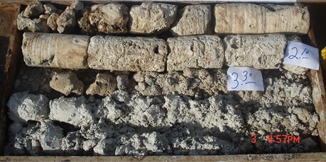 Core sample of coral reef sandy soil foundation