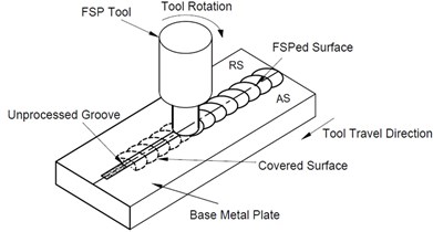 Schematic diagram of FSP technique.