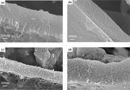 SEM images of a) TSCAC, b) TSCAC-1, c) TSCAC-2, d) TSCAC-3