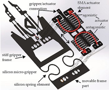 SMA microgripper with silicone spring element [24]