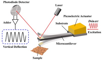 Micro-cantilever model of TM-AFM