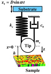 Micro-cantilever model of TM-AFM