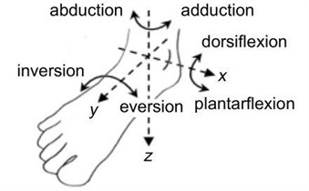 a) Ankle joint, b) planes and movements of the ankle joint