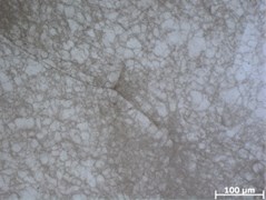 Spring microstructure of TB2 material
