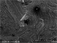 The macro and micro features of fracture toughness specimens of TB3 spring