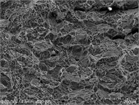 The macro and micro features of fracture toughness specimens of TB6 spring
