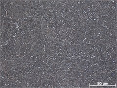 Spring microstructure of TB6 material