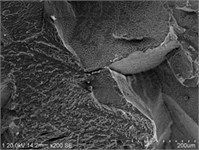 The macro and micro features of fracture toughness specimens of TB2 spring