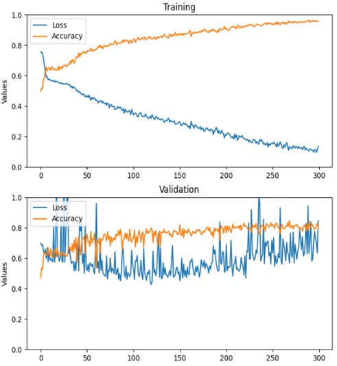 Training history of LSTM (ResNet50V2 backbone) with custom matrix fusion