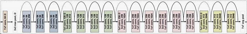 ResNet50 architecture [14]